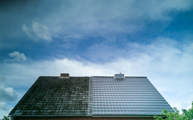 Killing-Roof-Moss-Bremerton-WA