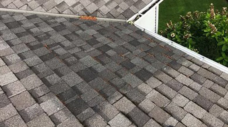 Roof-Repairing-Port-Orchard-WA