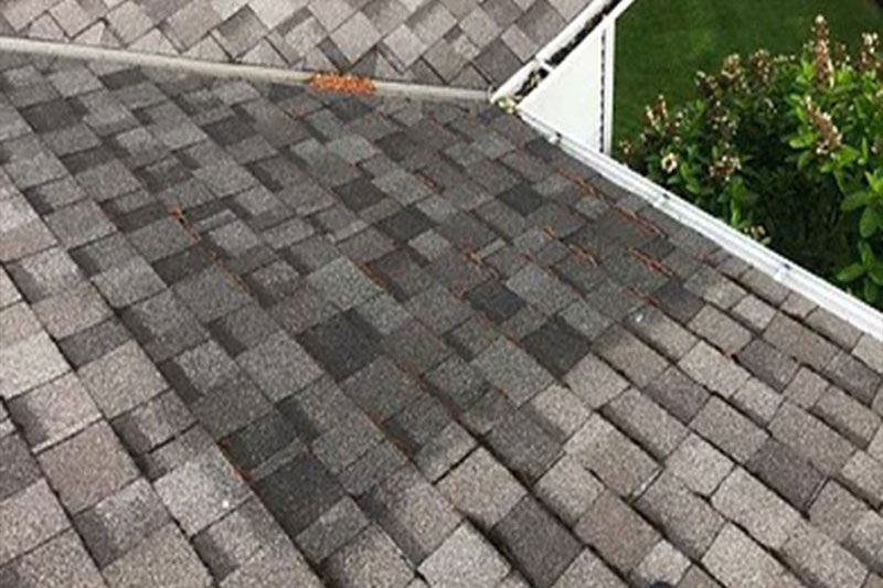 Roof-Repair-Seattle-WA