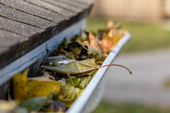 Experienced Bainbridge Island gutter cleaners in WA near 98110