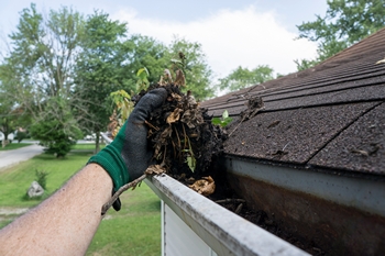 Efficient SeaTac gutter cleaners in WA near 98158