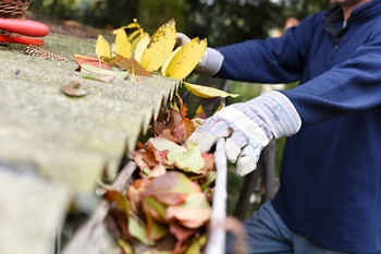 Thorough Bainbridge Island gutter cleaning in WA near 98110