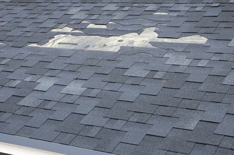 Rejuvenate your Bainbridge Island roof in WA near 98110