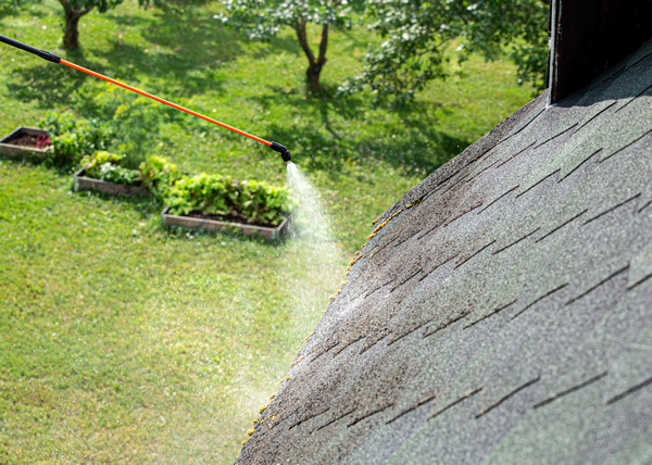 Trustworthy Bremerton roof cleaning in WA near 98312