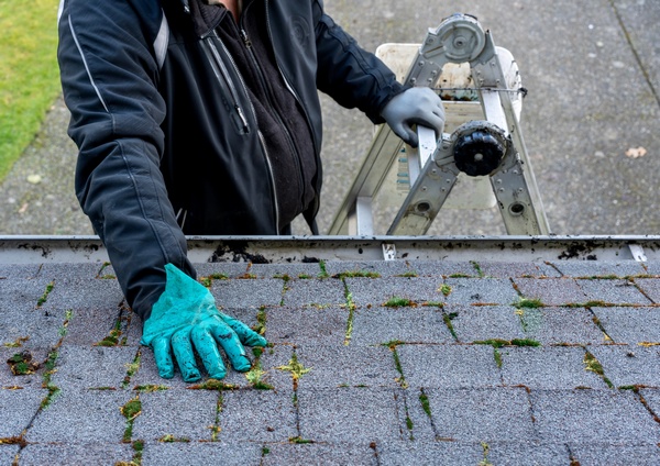 Professional Gig Harbor roof cleaning in WA near 98335