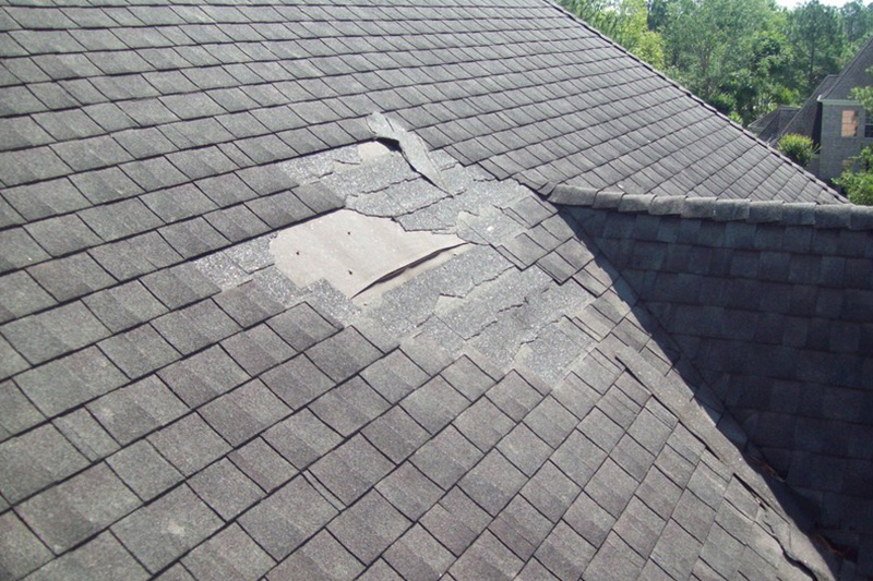 Reliable Federal Way roof company in WA near 98023