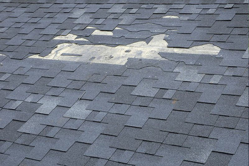 Local Auburn roof maintenance in WA near 98092